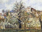 Camille Pissarro, Material and Dimensions